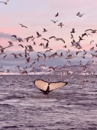 年度旅行總結 2025年去過的最愛的18個地方