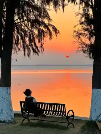 上海出發1h 淀山湖落日花海保姆級攻略