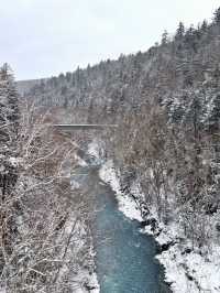 北海道，將迎來封神級別的冬天