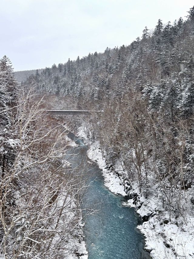 北海道，將迎來封神級別的冬天