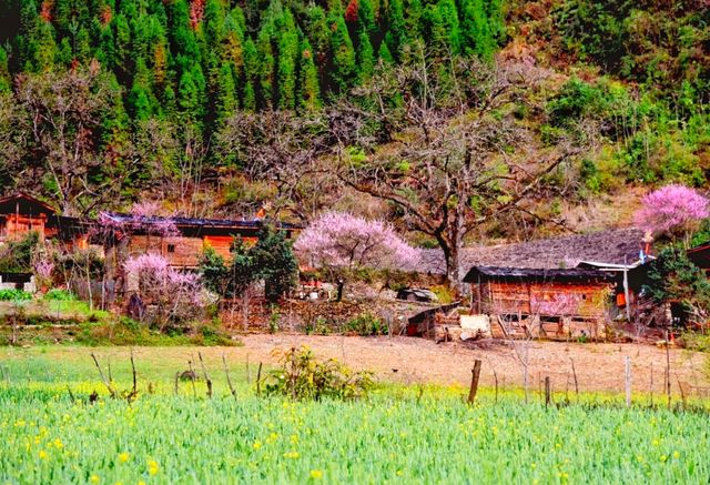雲南怒江-霧裡村 雲南怒江-霧裡村