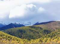 別再去318擠了！滇藏線214國道才是秋日自駕天花板！