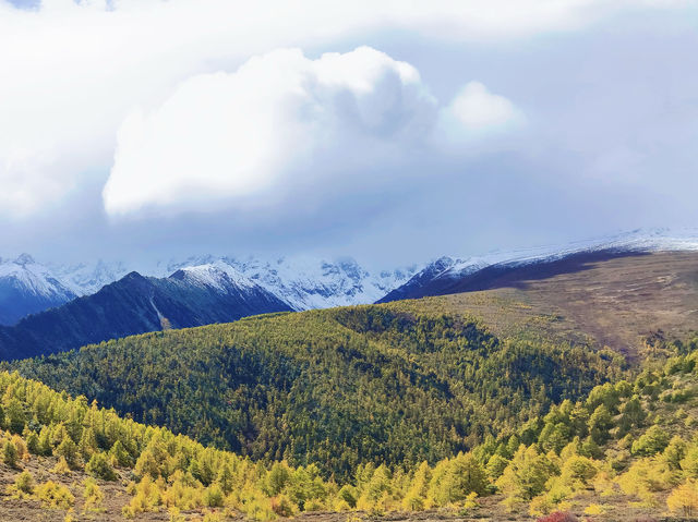 別再去318擠了！滇藏線214國道才是秋日自駕天花板！