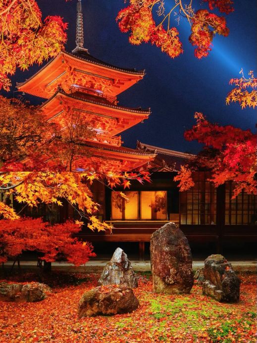 2026年 大阪城天守閣秋の風景おすすめ| Trip Moments