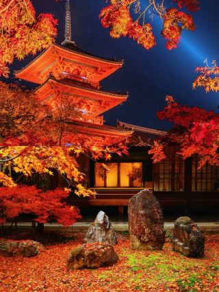 2025 Kansai Autumn Foliage Secrets｜Private "Little Kyoto" Maple Viewing Map, Avoid the Crowds and Be Amazed to the Point of Breathlessness