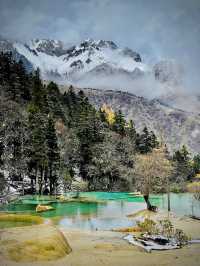 天上瑤池,人間黃龍