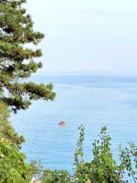 此生必去崂山公路 | 左手懸崖右手大海的絕美自駕路線!