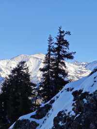 天山天池:在王母瑤臺間淬鍊億年寒玉的雲端鏡宮