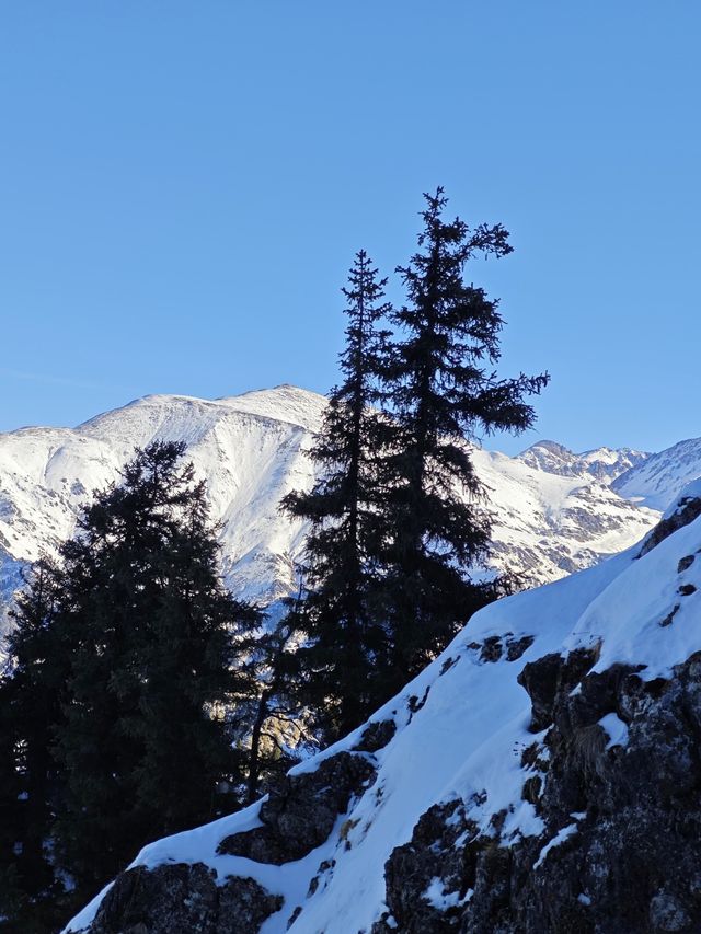 天山天池:在王母瑤臺間淬鍊億年寒玉的雲端鏡宮 天山天池:在王母瑤臺間淬鍊億年寒玉的雲端鏡宮