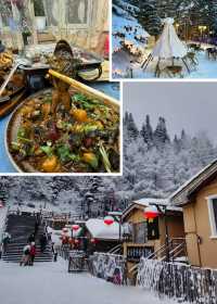 哈亞雪+延吉+長白山東北全線定制遊!