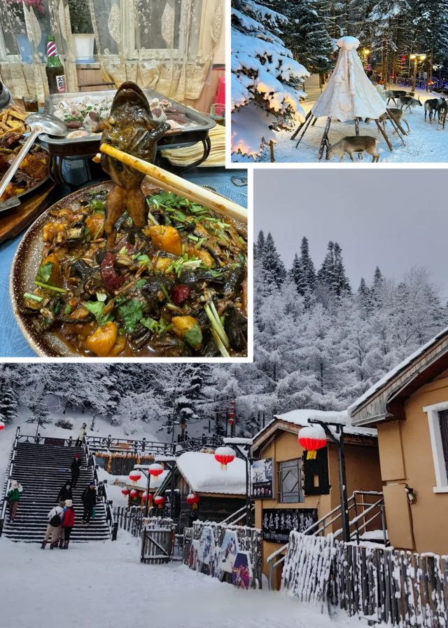 哈亞雪+延吉+長白山東北全線定制遊! 哈亞雪+延吉+長白山東北全線定制遊!