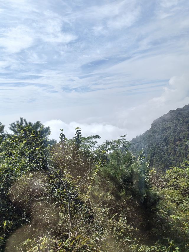 天橋勝境~非橋似橋的意境! 天橋勝境~非橋似橋的意境!