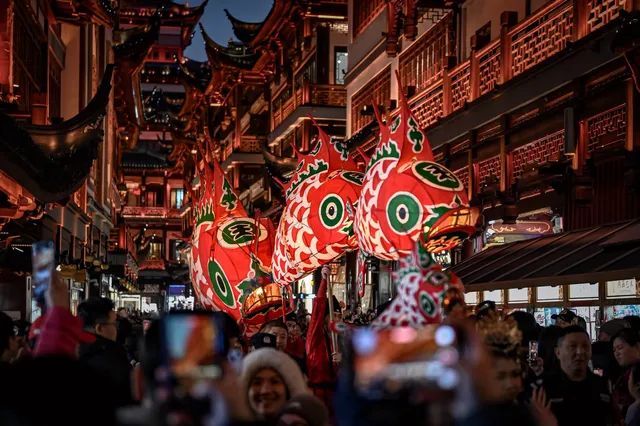 非遺魚燈銜著月光，游進了豫園的夢裡