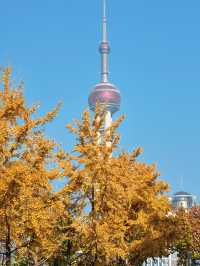 上海外灘賞銀杏不繞路個機位路線攻略