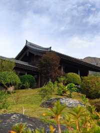 香港慈山寺|世界第二高的戶外觀音立像