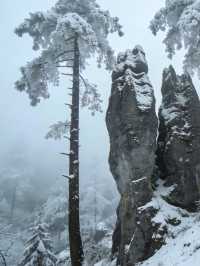 雪_石林華鎰山_四川廣安