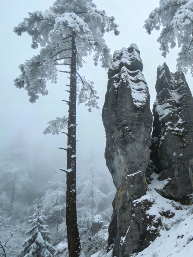 雪_石林華鎰山_四川廣安 雪_石林華鎰山_四川廣安
