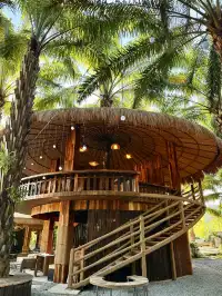 版納人日常遛彎｜花卉園集市天天見