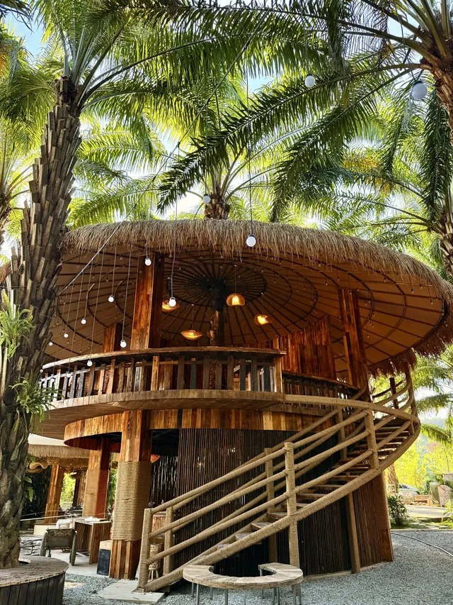 版納人日常遛彎｜花卉園集市天天見