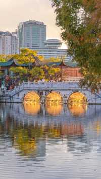 翠湖公園怎麼玩?本地人私藏路線,避開人潮賞冬櫻