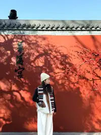 又是做大自然小孩的一天…