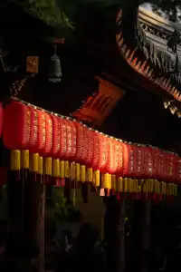 深秋的龍華寺美到無法用言語描述