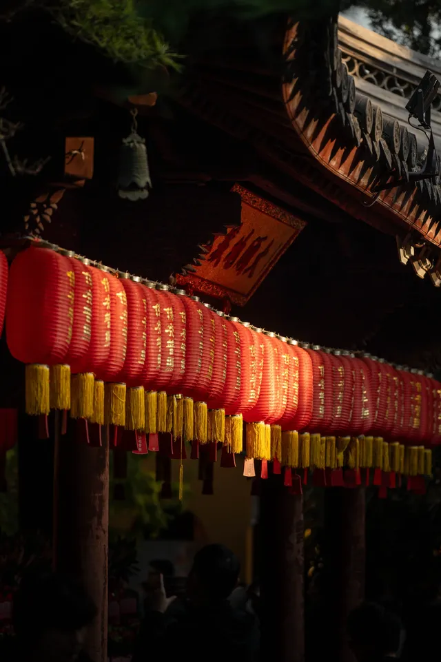 深秋的龍華寺美到無法用言語描述