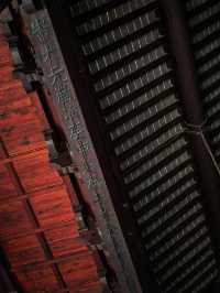 上海小眾銀杏秘境攻略