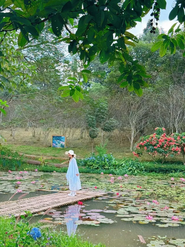 在熱帶冬天裡，被花卉園治癒的8小時