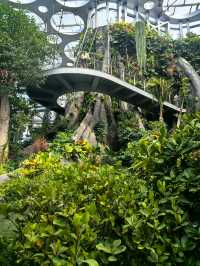 魔都打卡日記世博溫室花園+3號倉庫美食探店