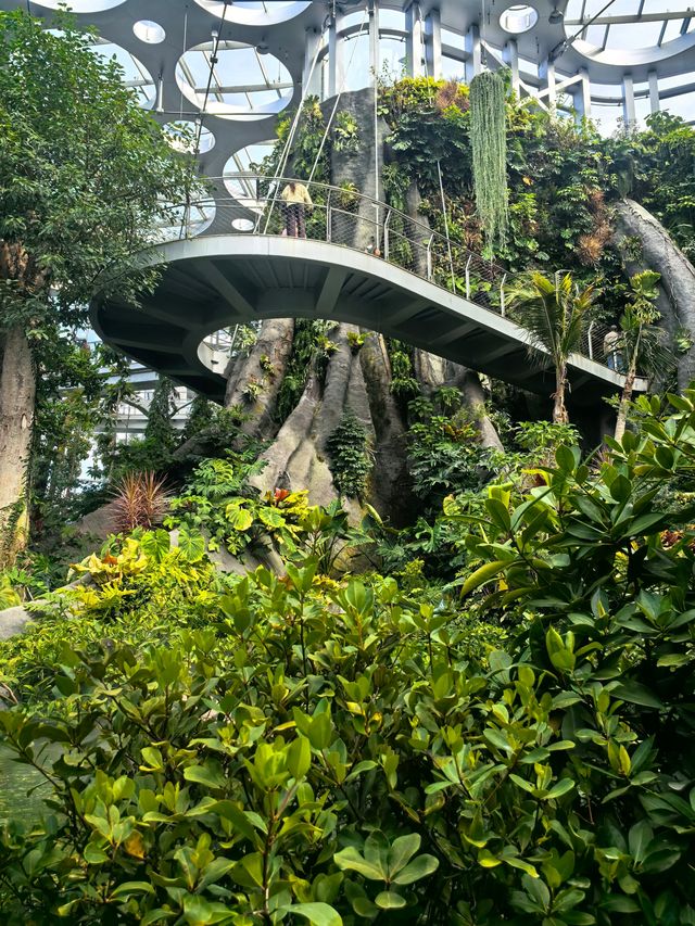 魔都打卡日記世博溫室花園+3號倉庫美食探店 魔都打卡日記世博溫室花園+3號倉庫美食探店