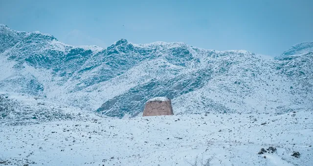 救命!雪後西夏陵是穿越千年的寂靜詩篇 救命!雪後西夏陵是穿越千年的寂靜詩篇