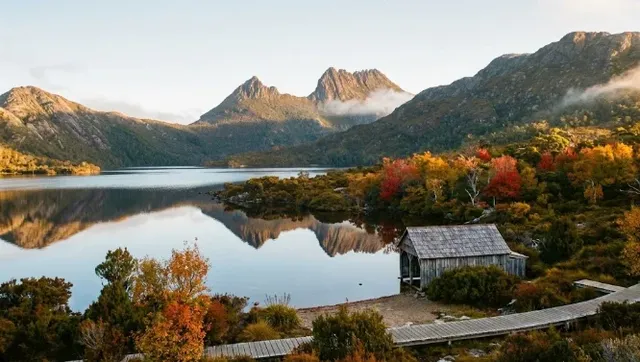什麼!原來塔斯馬尼亞的鴨嘴獸都在這!! 什麼!原來塔斯馬尼亞的鴨嘴獸都在這!!