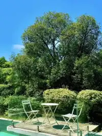 竹海環抱莫干山去了還想去的山間民宿