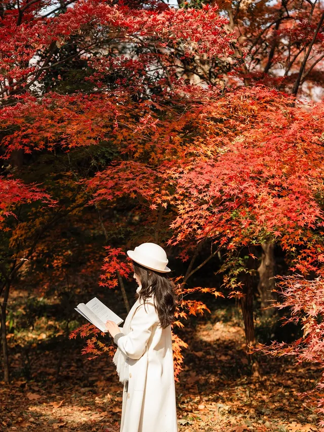 12.5實況|中山植物園這幾個機位包出片的! 12.5實況|中山植物園這幾個機位包出片的!