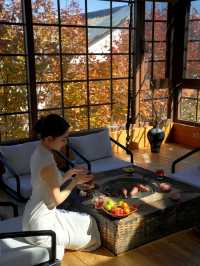 每個冬天都想去的,除了大理,還有…