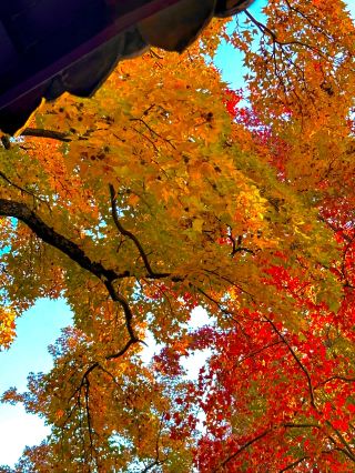 Suzhou Tianping Mountain Family Travel Nanny-Level Guide