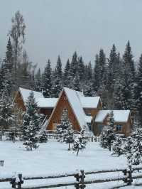 初冬喀納斯|雪域仙境裡的“人間淨土”深度之旅