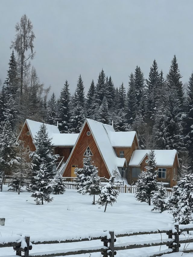 初冬喀納斯|雪域仙境裡的“人間淨土”深度之旅 初冬喀納斯|雪域仙境裡的“人間淨土”深度之旅