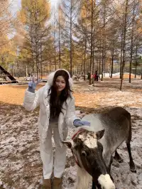 長白山天池關閉 還可以怎麼拍