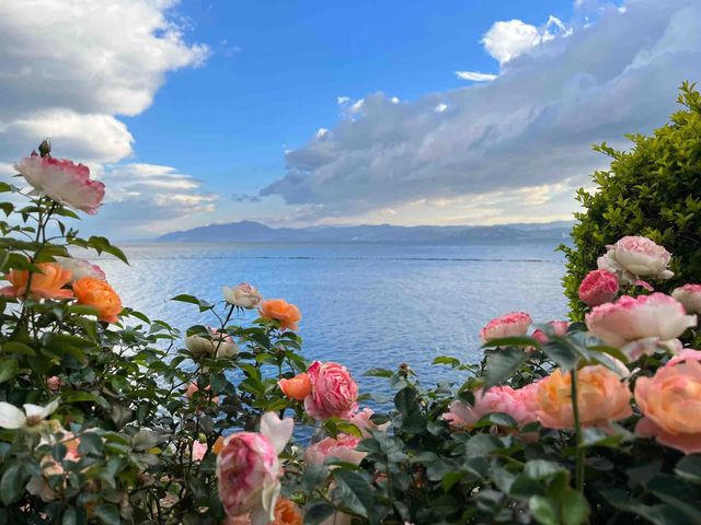 大理3天2晚|把洱海的浪漫過成日常 大理3天2晚|把洱海的浪漫過成日常