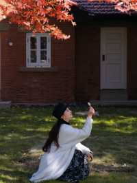 這個秋天在上海理工邂逅「英國鄉村」的浪漫