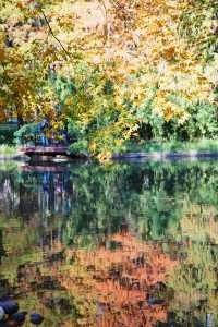 魔都市中心的“小京都”!延中廣場公園秋日拍照封神攻略