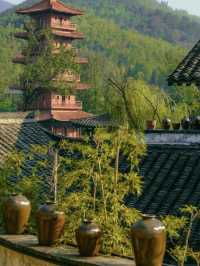 上海周邊2h直達!走進蘇東坡的詩畫陽羨