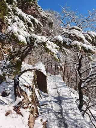 눈이 내린 후 라오산에는 마치 동화 속 세상이 펼쳐집니다. 서리가 내린 얼음이 고대 도교의 정취를 감싸고 있습니다.