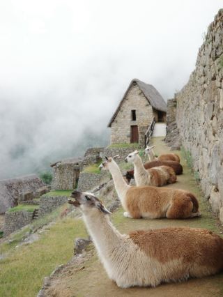 ชมพระอาทิตย์ขึ้นที่มาชูปิกชูในช่วงตรุษจีน: เคล็ดลับการเดินทางที่ห้ามพลาดทั้งหมดอยู่ที่นี่แล้ว!