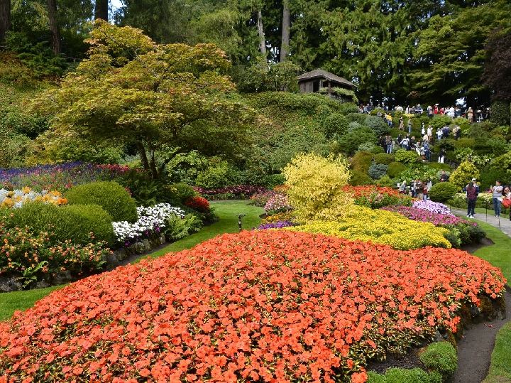 ブッチャートガーデン：カナダ・ビクトリアの花の楽園 | Trip.com