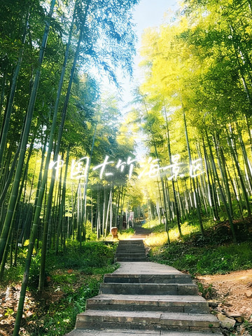 中国大竹海(卧虎藏龙取景地) 参考图 3