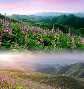 Jinsha Treasure Trip: High Cost-Performance Hotel with Natural Wood Style