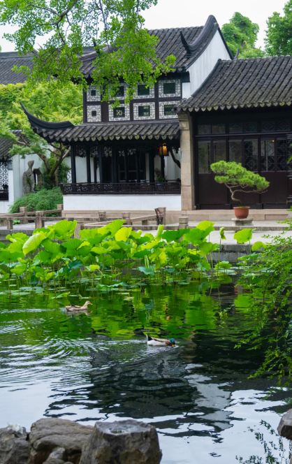 蘇州留園｜人混みを避けて、700メートルの曲廊で明代の野心を読み解く